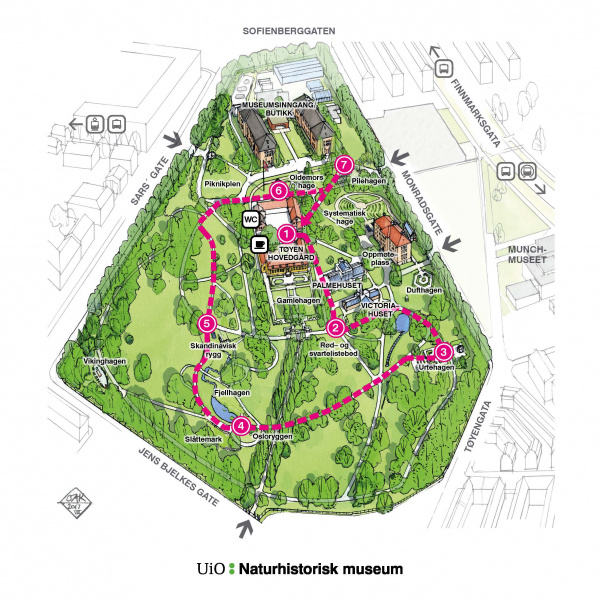 Map Botanisk hage IFLA WORLD KONGRESS 2019.jpg