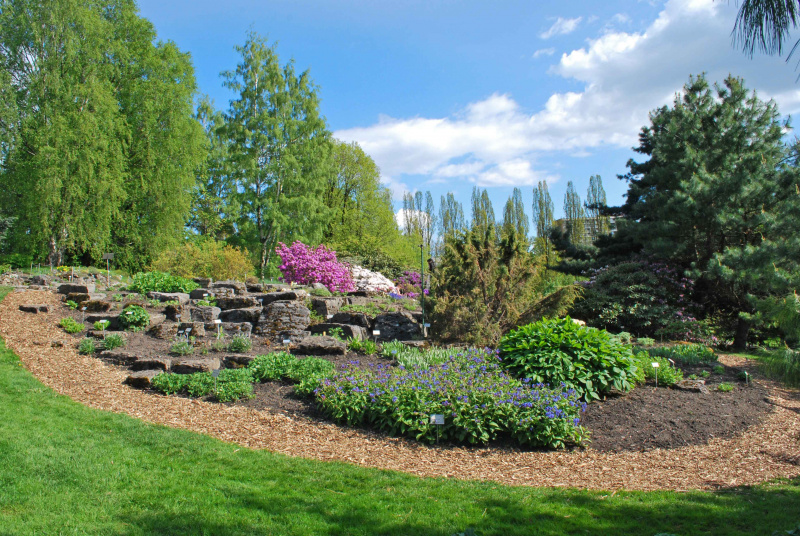 Fil:Botanisk hage OBL.jpg